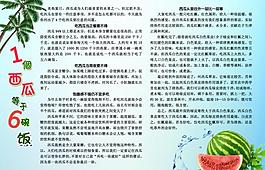 西瓜與健康圖片