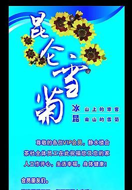 昆侖雪菊圖片