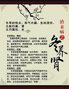 冬養腎圖片