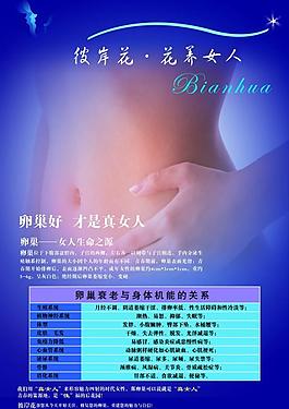 卵巢保養圖片