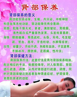 腎部保養(yǎng)圖片