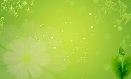 綠色背景素材圖片