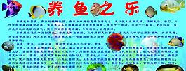 养鱼之乐图片