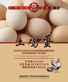 土雞蛋海報