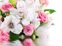 鮮花設(shè)計(jì)圖片
