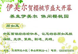 櫻桃節圖片