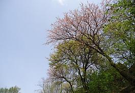 田園景觀攝影圖片