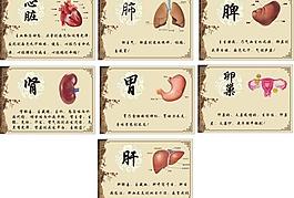 五臟保養圖片