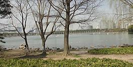 湖畔圖片