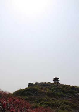 桃花节 游人纷至沓来图片