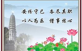 荷花 佛塔圖片