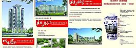 彩頁圖片