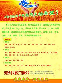 彩頁圖片