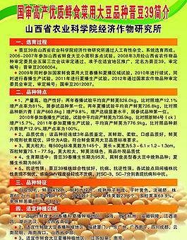 农业彩页 大豆彩页图片