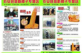 玉米彩頁圖片