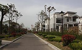 清泉石上流圖片
