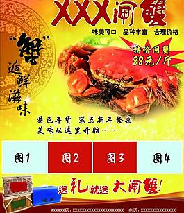 大閘蟹彩頁(yè)圖片