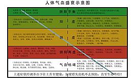 人體氣血盛衰示意圖圖片