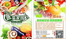 蔬菜彩頁圖片
