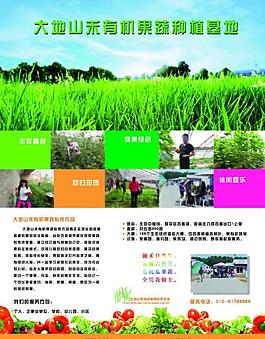 農場彩頁圖片