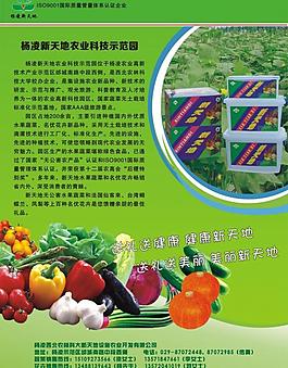 蔬菜彩页图片