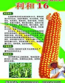 種子宣傳彩頁圖片