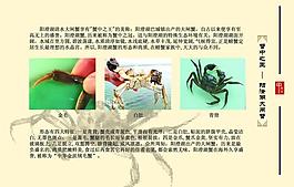 大閘蟹彩頁圖片