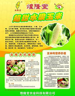 玉米宣傳彩頁圖片