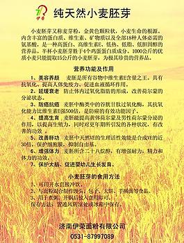 小麥彩頁圖片