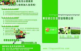 蔬菜彩頁圖片