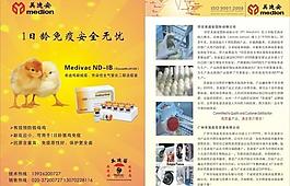 彩頁廣告圖片