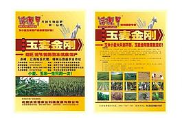 雙面宣傳彩頁圖片