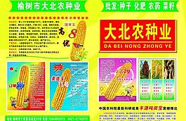 彩頁傳單圖片