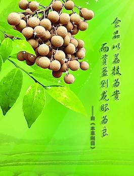 龍眼廣告彩頁(yè)圖片