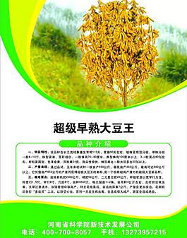 大豆种彩页图片