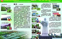 蔬菜彩頁圖片