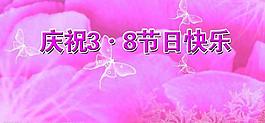 三八節(jié)圖片