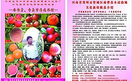 果樹(shù)彩頁(yè)圖片