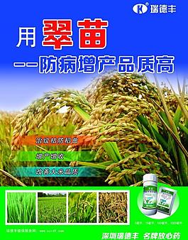 瑞德豐彩頁圖片