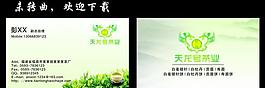 茶葉名片圖片