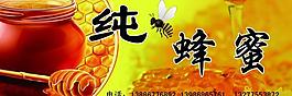 純蜂蜜標(biāo)簽圖片