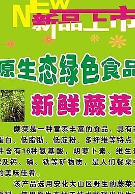 新品上市圖片