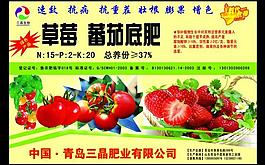 草莓蕃茄沖施肥海報圖片