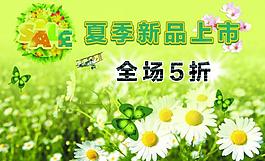 夏季新品上市圖片