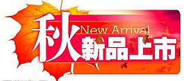 新品上市圖片