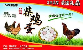 柴雞蛋標(biāo)簽圖片