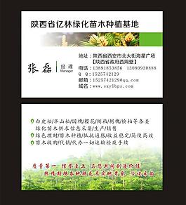 名片图片