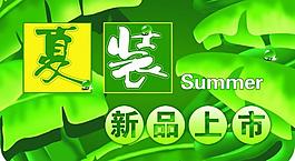 夏裝新品上市圖片