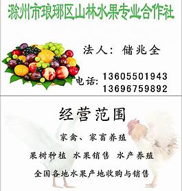 名片圖片