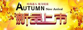秋季新品上市圖片